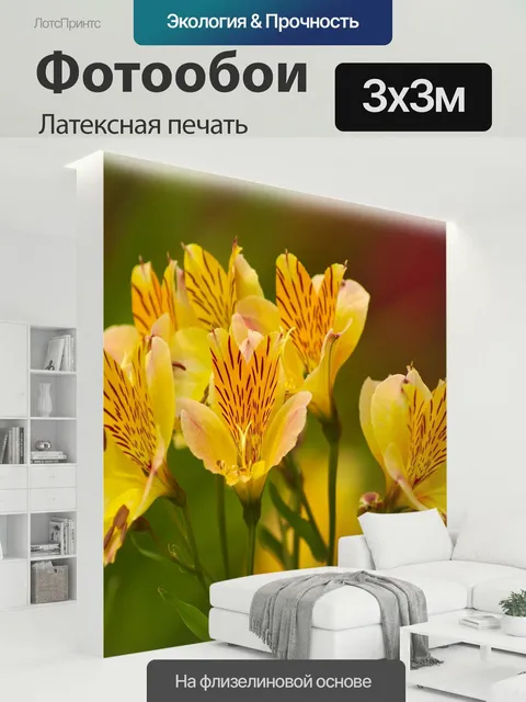 300 × 300 см · Латексная печать