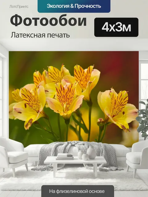 400 × 300 см · Латексная печать