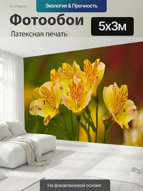 500 × 300 см · Латексная печать