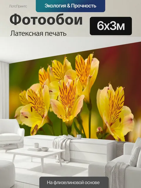 600 × 300 см · Латексная печать