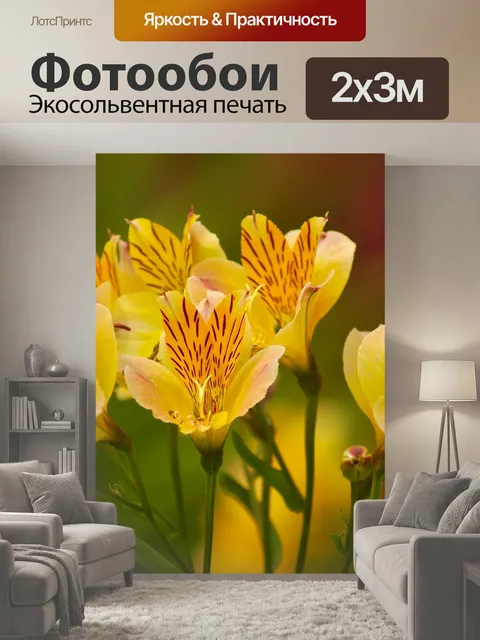 200 × 300 см · Экосольвентная печать