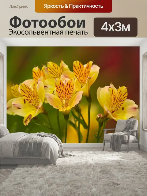 400 × 300 см · Экосольвентная печать