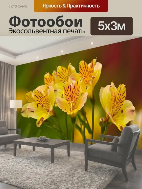 500 × 300 см · Экосольвентная печать