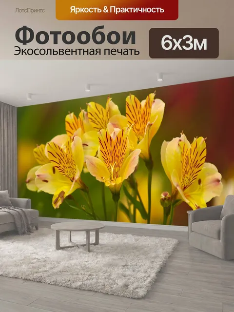 600 × 300 см · Экосольвентная печать