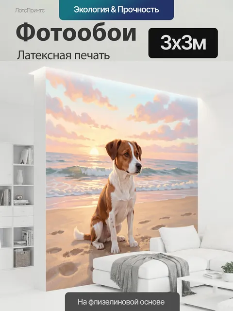 300 × 300 см · Латексная печать