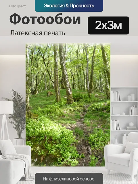 200 × 300 см · Латексная печать