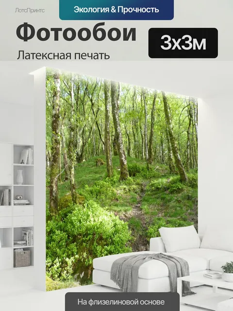 300 × 300 см · Латексная печать
