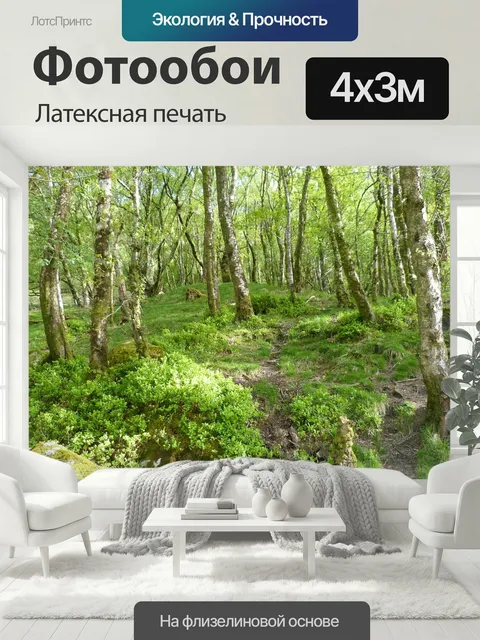 400 × 300 см · Латексная печать