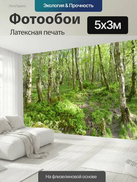 500 × 300 см · Латексная печать