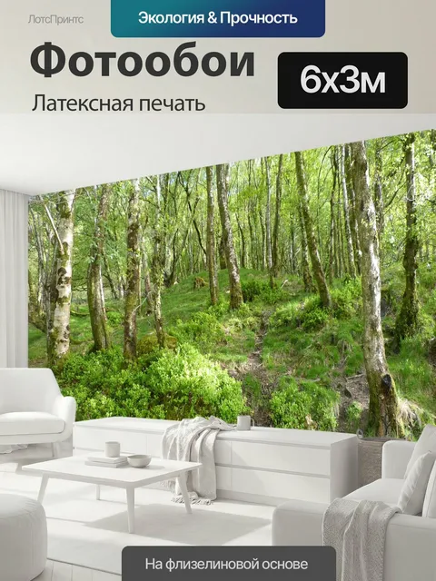 600 × 300 см · Латексная печать
