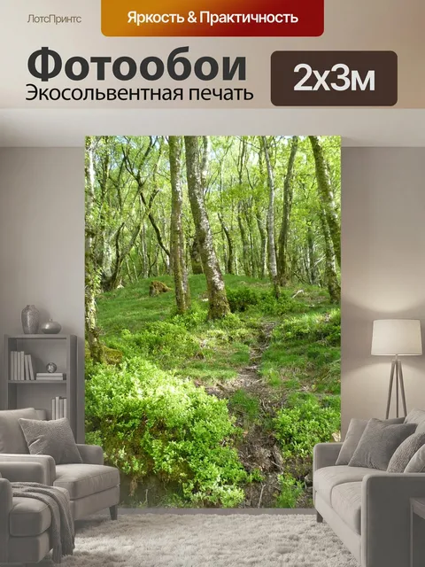 200 × 300 см · Экосольвентная печать