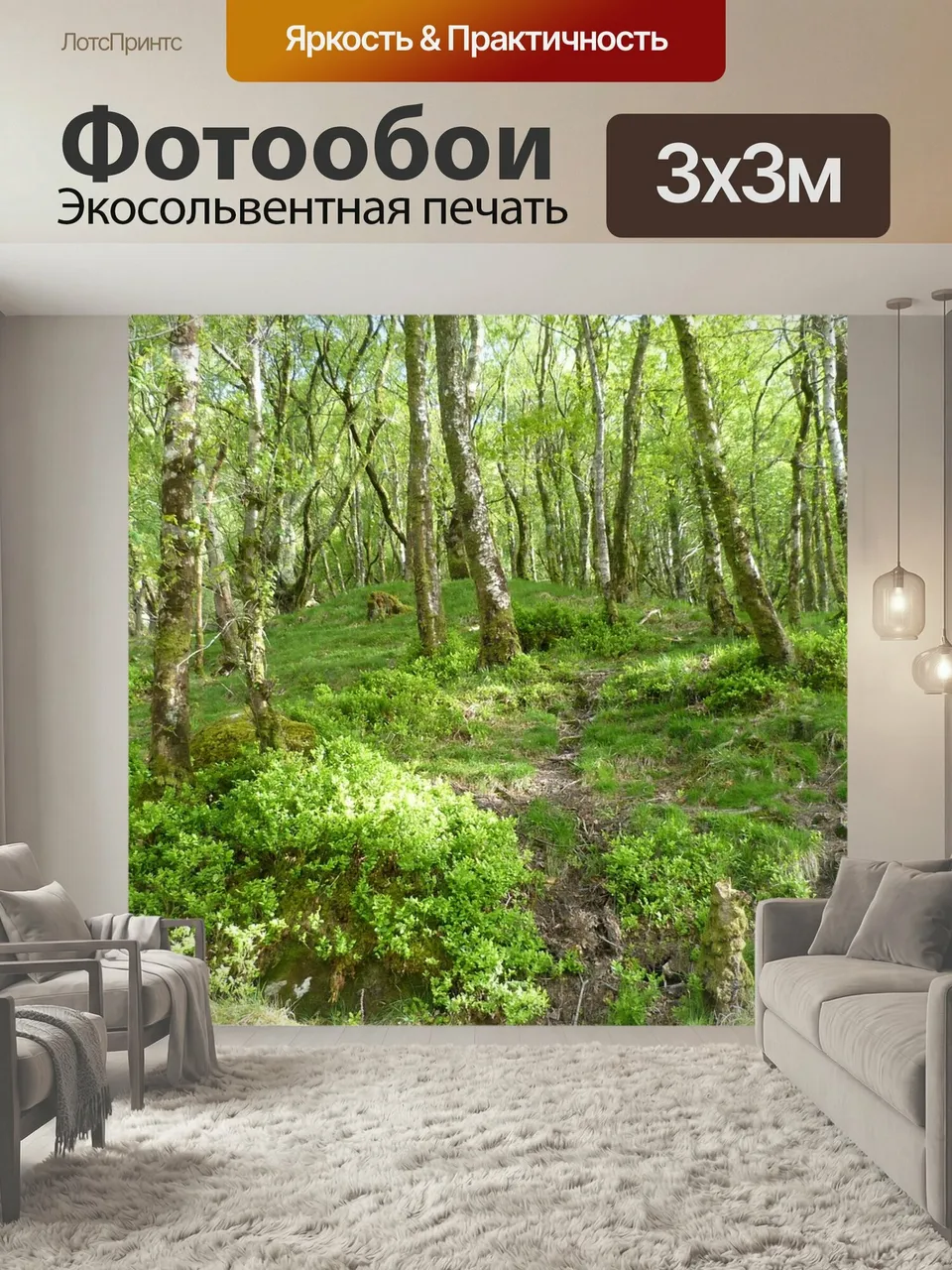 Фотообои Лес, ирландия, березы