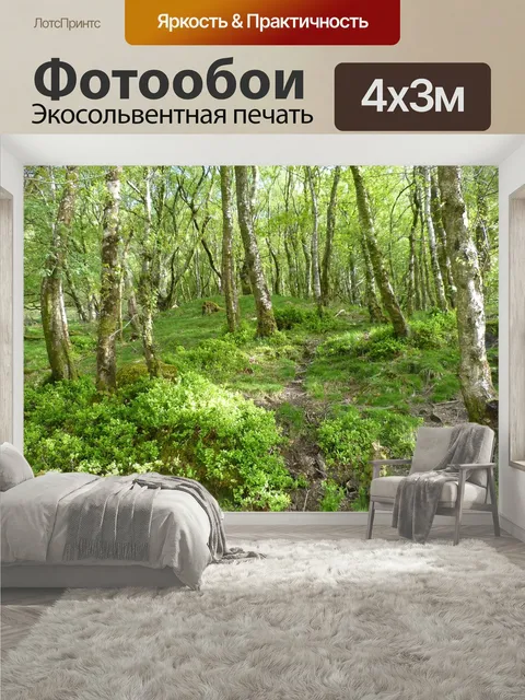 400 × 300 см · Экосольвентная печать
