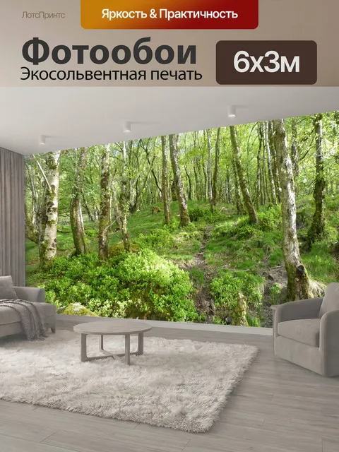 600 × 300 см · Экосольвентная печать