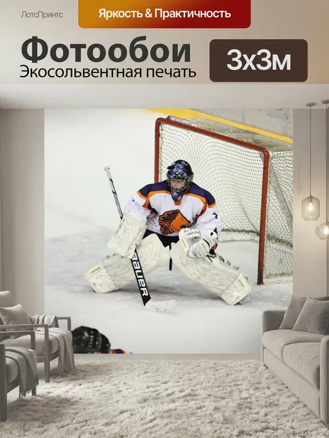 Фотообои Хоккей на льду, зимние виды спорта, вратарь
