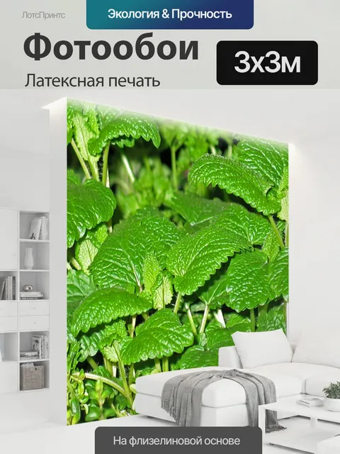 300 × 300 см · Латексная печать