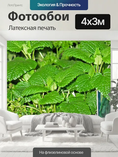 400 × 300 см · Латексная печать