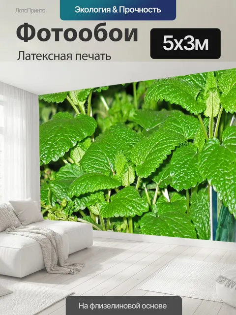 500 × 300 см · Латексная печать