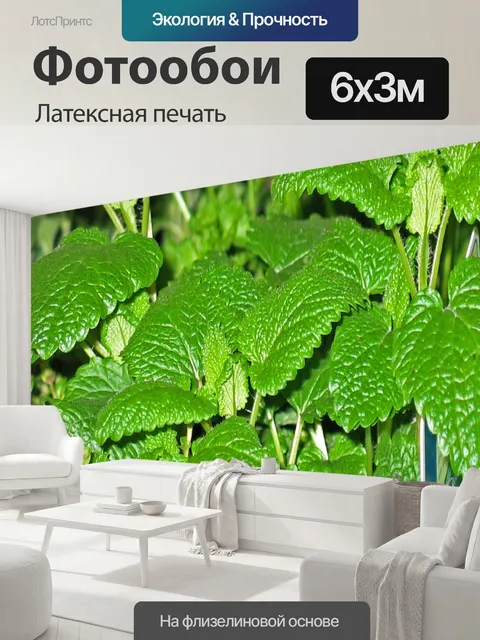 600 × 300 см · Латексная печать