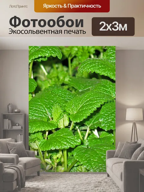 200 × 300 см · Экосольвентная печать