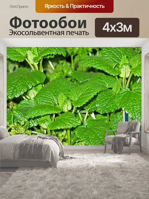 400 × 300 см · Экосольвентная печать