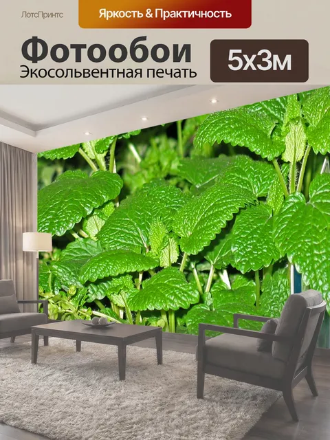 500 × 300 см · Экосольвентная печать