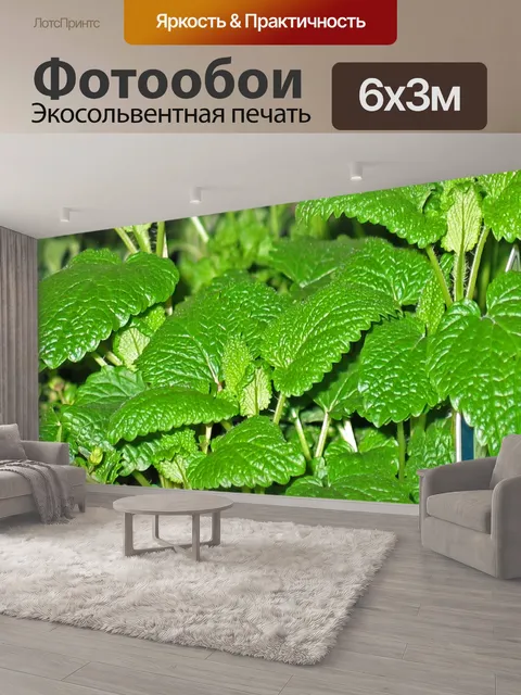 600 × 300 см · Экосольвентная печать