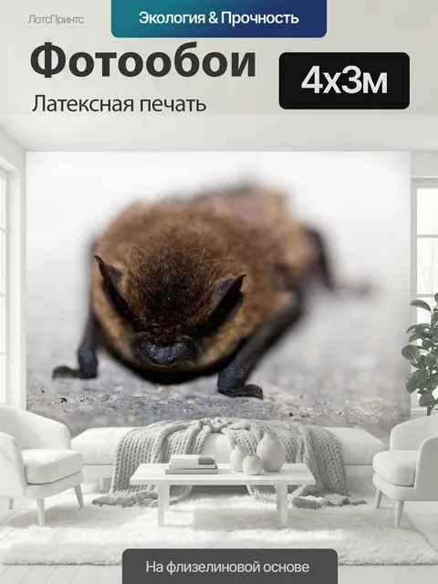 400 × 300 см · Латексная печать