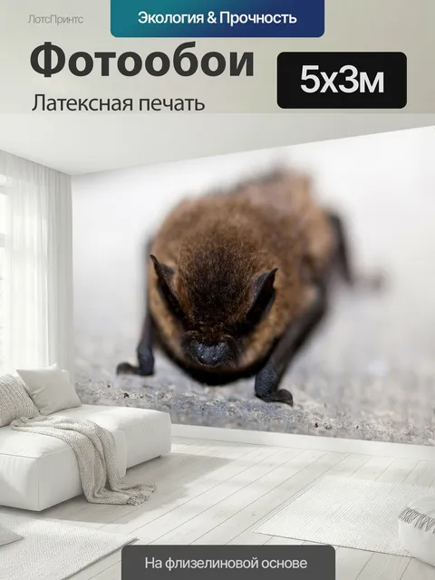 500 × 300 см · Латексная печать