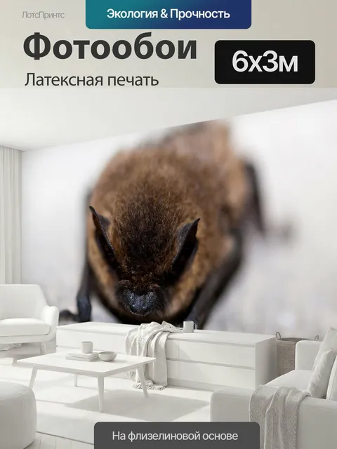 600 × 300 см · Латексная печать
