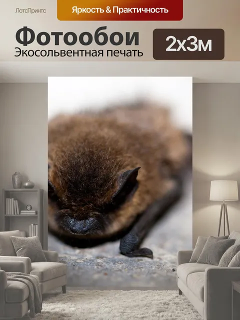 200 × 300 см · Экосольвентная печать