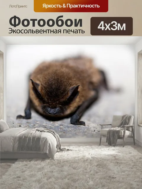 400 × 300 см · Экосольвентная печать