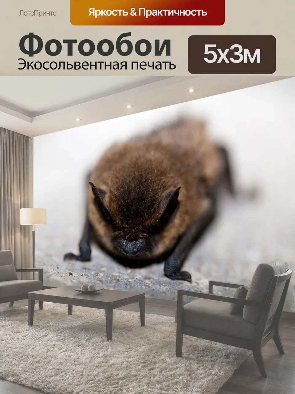 Фотообои Летучая мышь крошечная