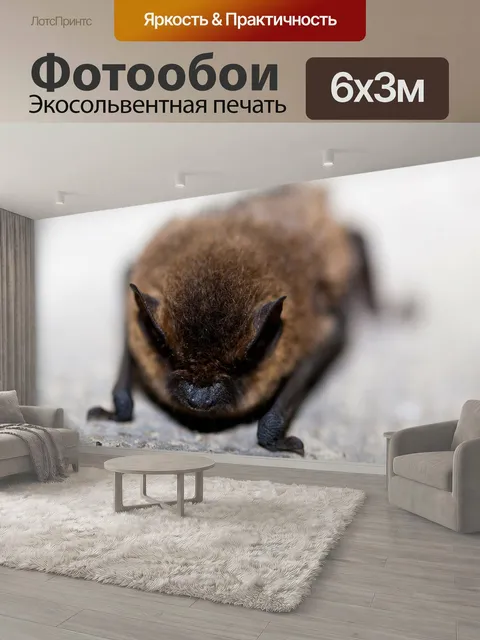 600 × 300 см · Экосольвентная печать