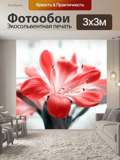Фотообои Кливия, цвет абао, цвести