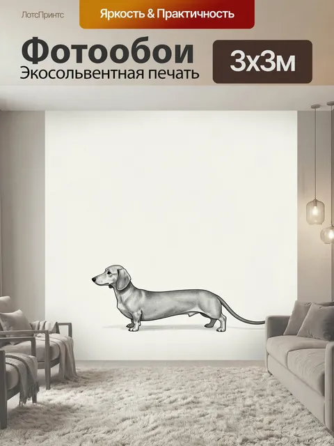 Фотообои Такса в профиль на светлом фоне. Минималистичная черно-белая иллюстрация удлиненной собаки с висячими ушами, …