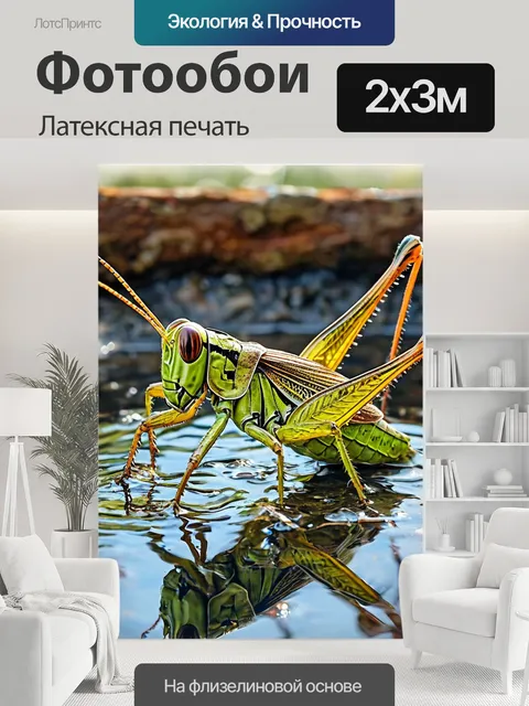 200 × 300 см · Латексная печать