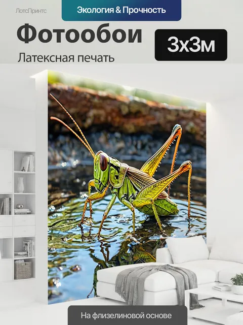 300 × 300 см · Латексная печать
