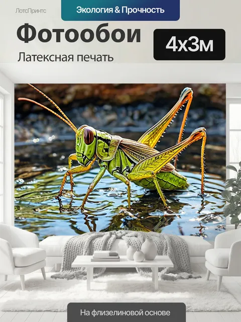 400 × 300 см · Латексная печать