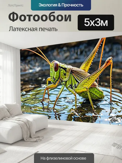 500 × 300 см · Латексная печать