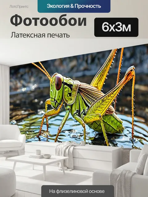 600 × 300 см · Латексная печать