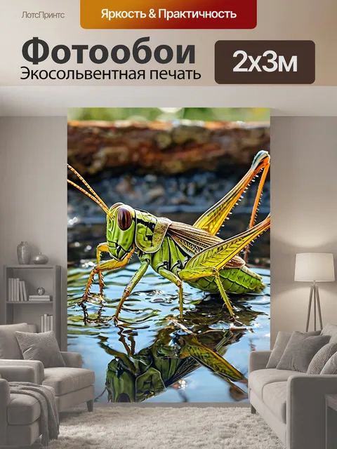 200 × 300 см · Экосольвентная печать
