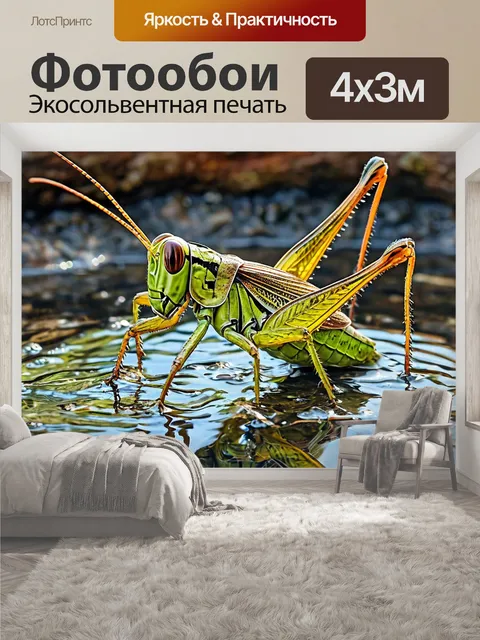 400 × 300 см · Экосольвентная печать