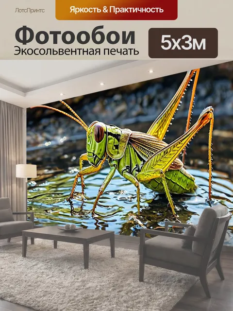 500 × 300 см · Экосольвентная печать