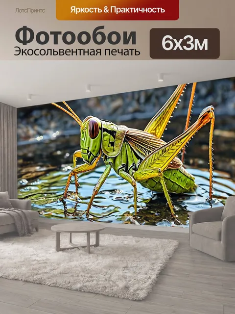 600 × 300 см · Экосольвентная печать
