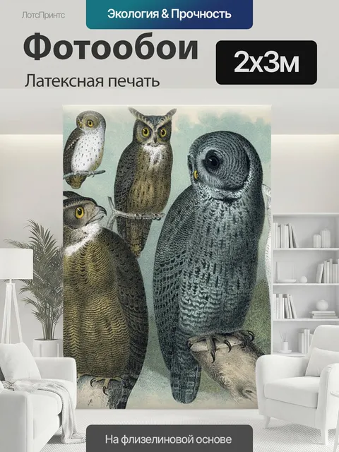 200 × 300 см · Латексная печать