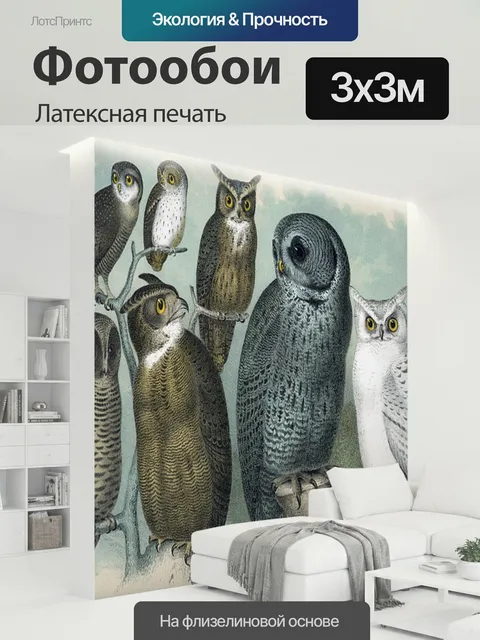 300 × 300 см · Латексная печать