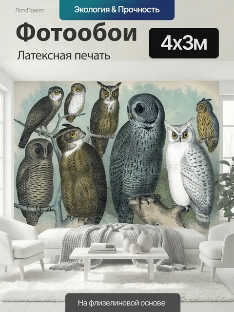 400 × 300 см · Латексная печать