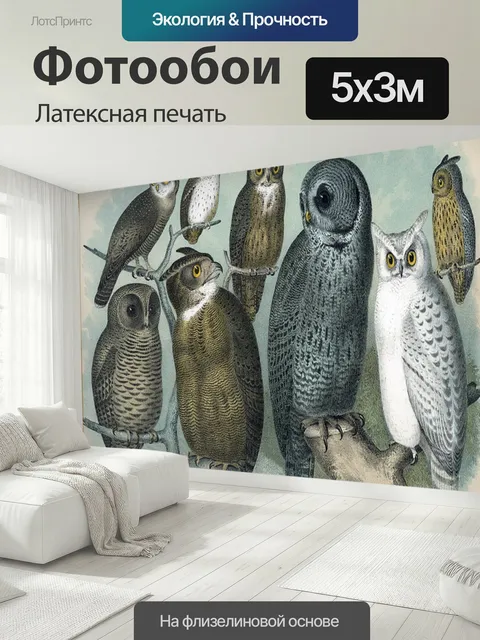 500 × 300 см · Латексная печать