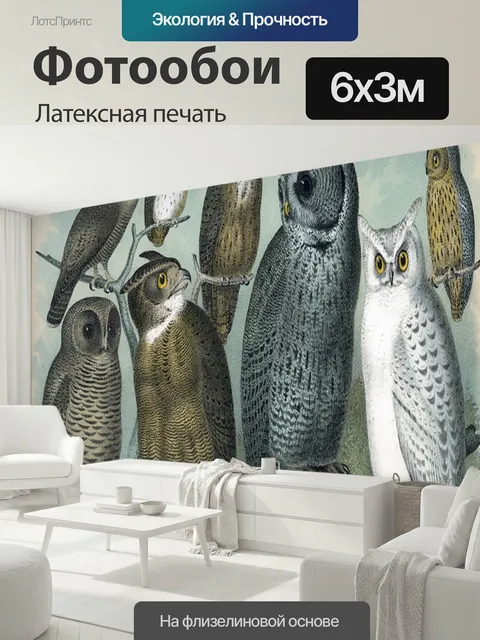 600 × 300 см · Латексная печать